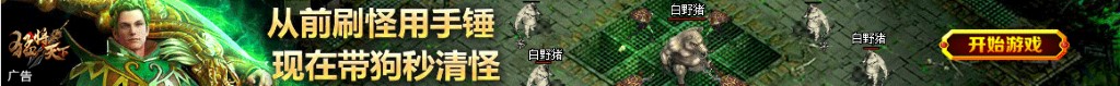 华录百纳股票
